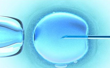 试管婴儿移植未能成功着床，全面剖析失败原因及应对策略