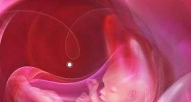 北京三代试管婴儿价格解读为啥不一样？