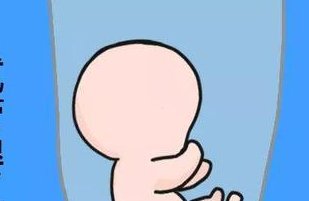 龙岩三代试管医院的排名是怎么样的？有推荐的医院吗？