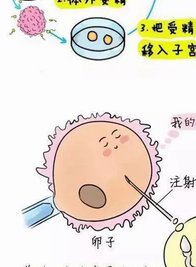 河北涿州市医院试管婴儿套餐一般需多少费用？口碑好吗？