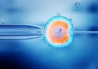 在莆田做一次三代试管婴儿需要多长时间，费用大约是多少？