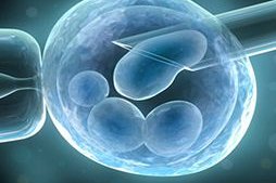 安徽省妇幼保健院做试管婴儿贵吗？安徽省妇幼保健院做试管需要花多少钱？